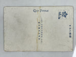 Japanese Postcard Nikko Sandaibyo Hall Interior C1930 Showa Buddhist Color PC201