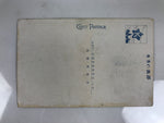 Japanese Postcard Nikko Sorinto C1930 Rinnoji Temple Showa Buddhist Color PC200