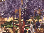 Japanese Postcard Wisteria Flower Temple C1930 Showa Color Photography PC183