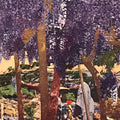 Japanese Postcard Wisteria Flower Temple C1930 Showa Color Photography PC183