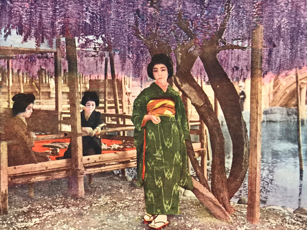 Japanese Postcard Wisteria Kimono Women C1930 Showa Color Photography PC178