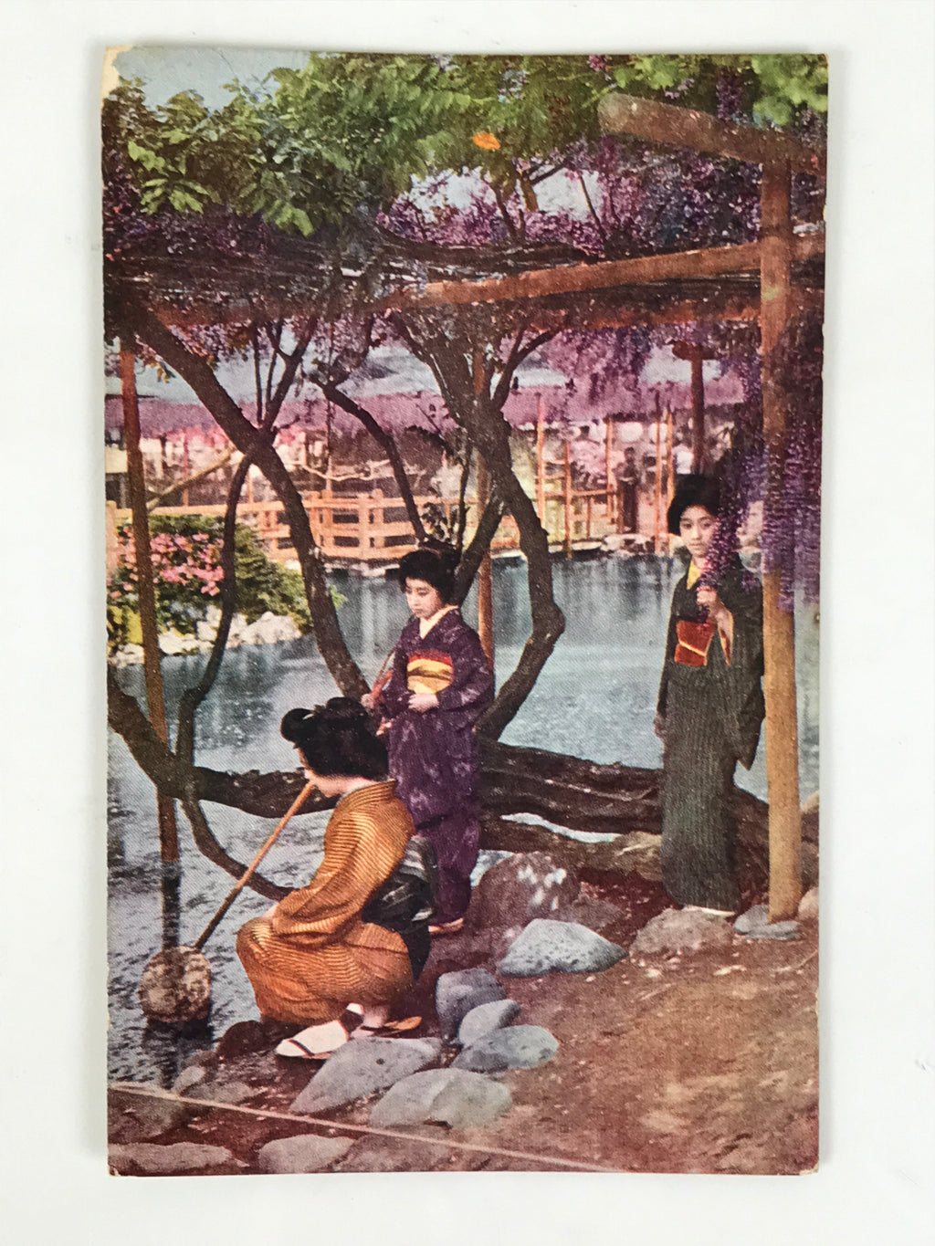 Japanese Postcard Wisteria Kimono Women C1930 Showa Color Photography PC179