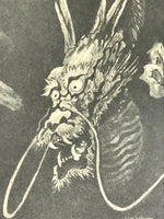 Japanese Printed Art Reproduction Vtg Dragon Black White Big Shikishi FL493