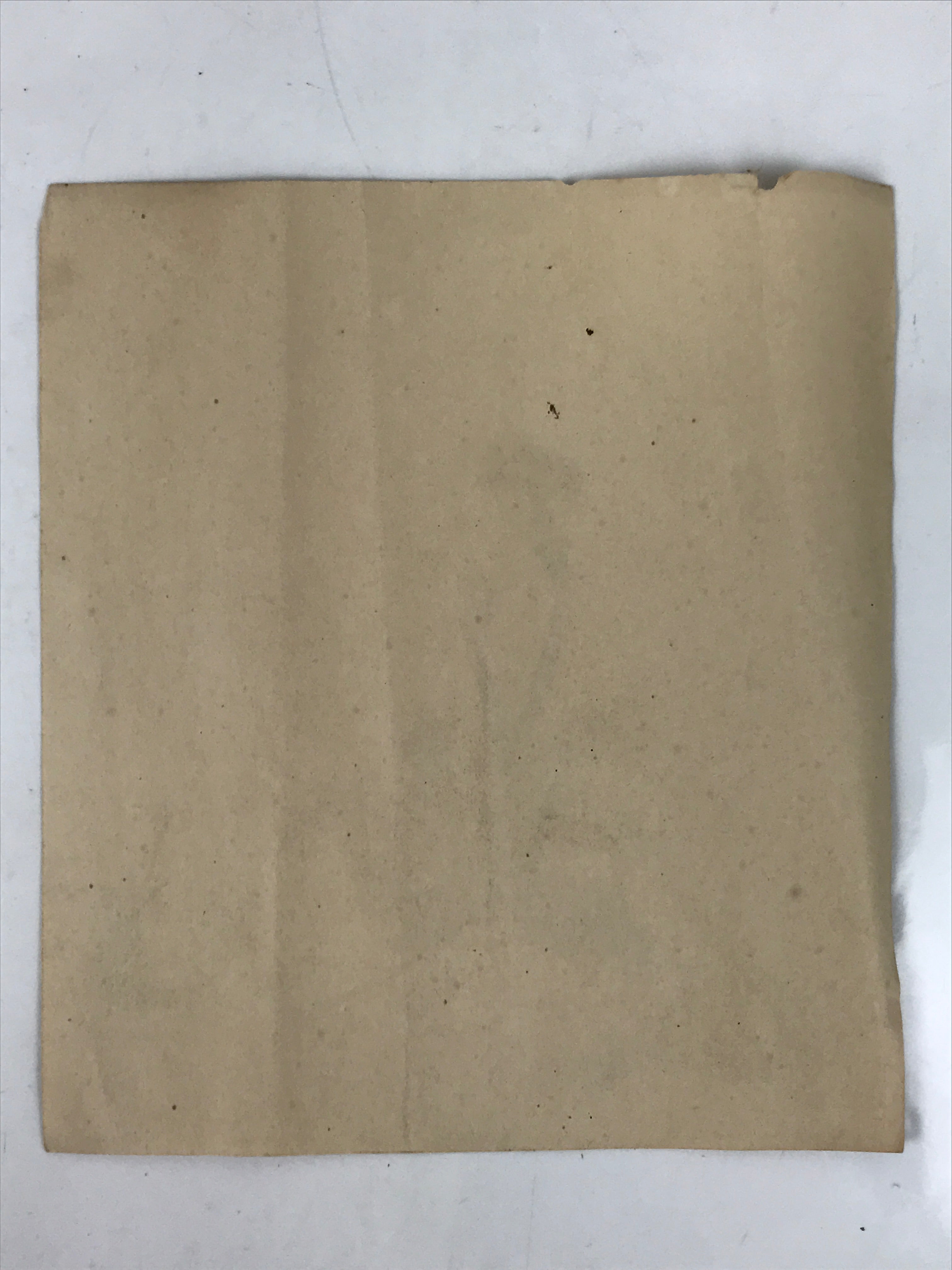 Japanese Printed Reproduction Benzaiten Seven Lucky Gods Vtg Paper Square FL373