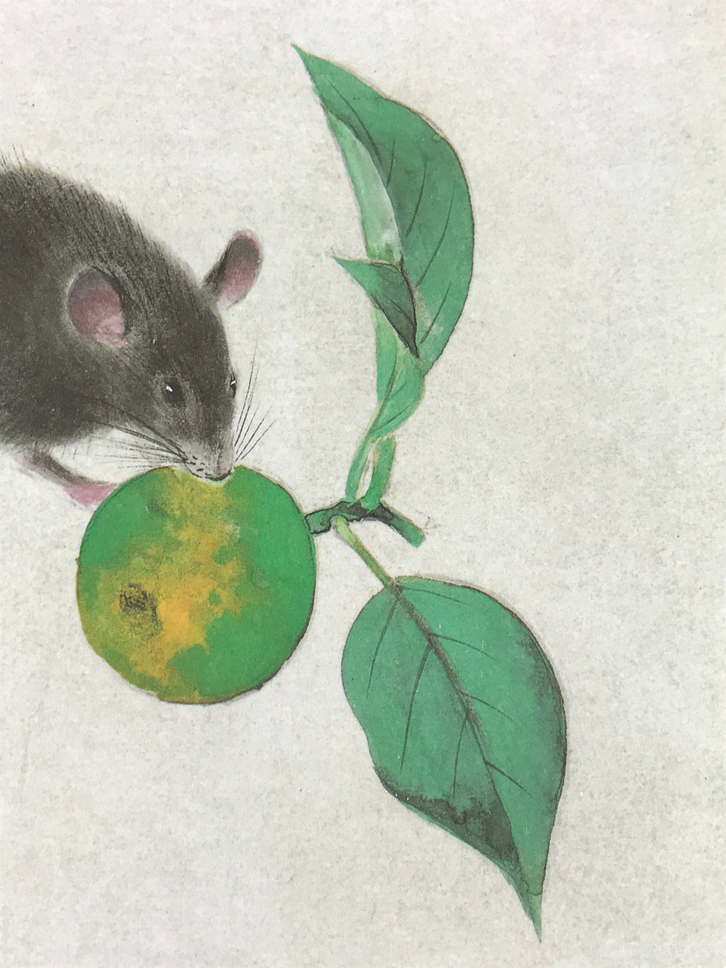 Japanese Printed Shikishi Art Board Print Mouse Green Fruit Rat Zodiac Year A548
