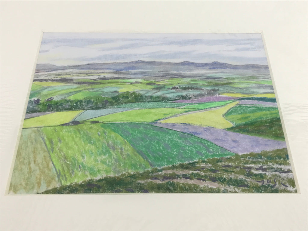 Japanese Rice Field Landscape Pastel Drawing Art Signed Yoshihiro Hagino FL346