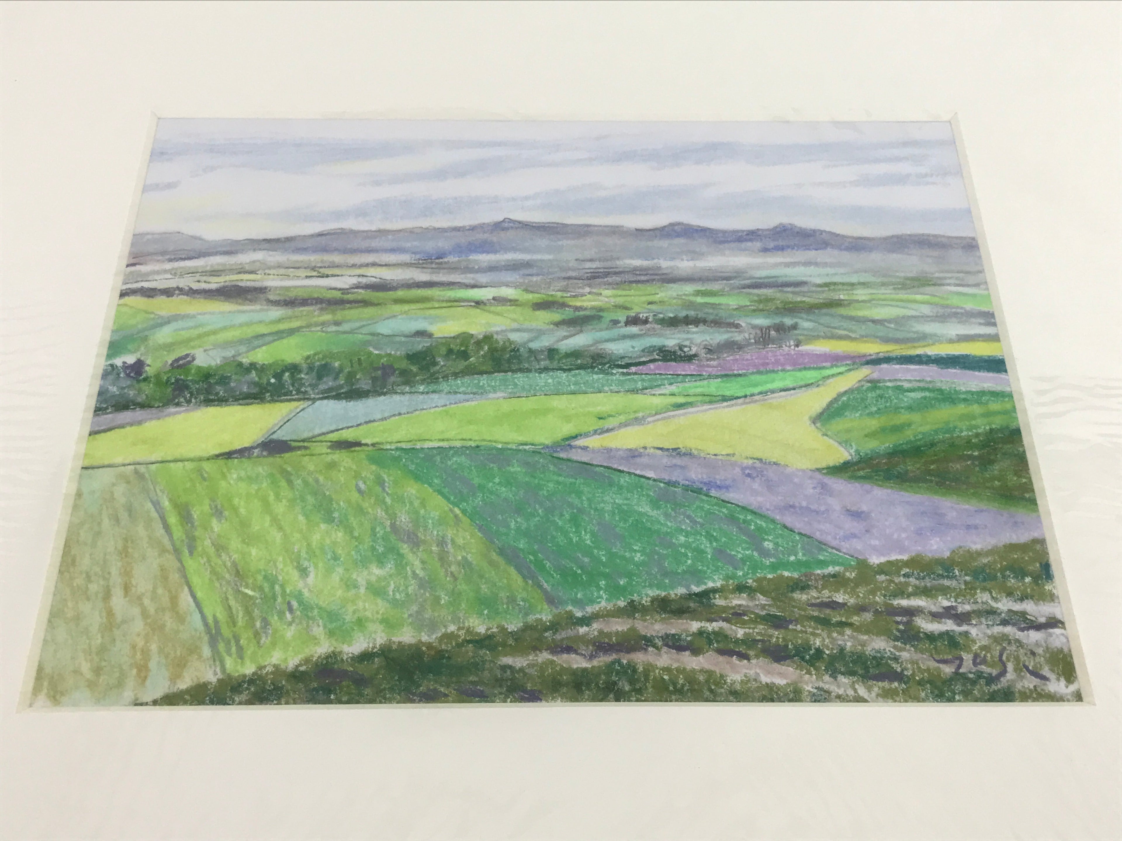 Japanese Rice Field Landscape Pastel Drawing Art Signed Yoshihiro Hagino FL346