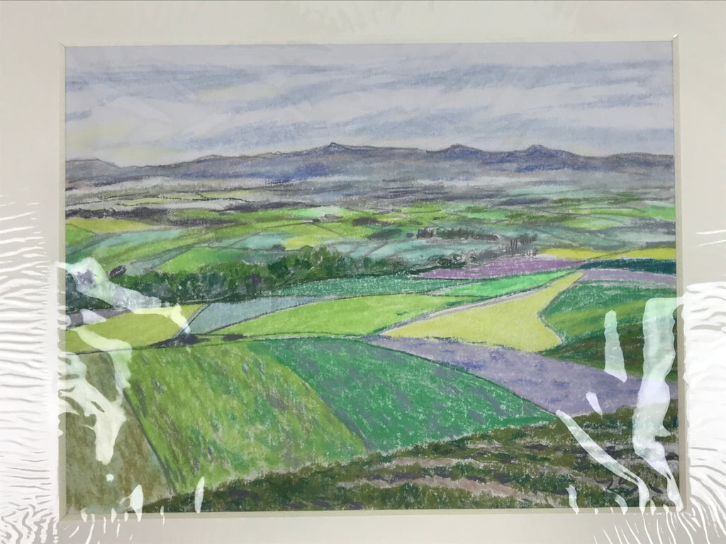Japanese Rice Field Landscape Pastel Drawing Art Signed Yoshihiro Hagino FL346