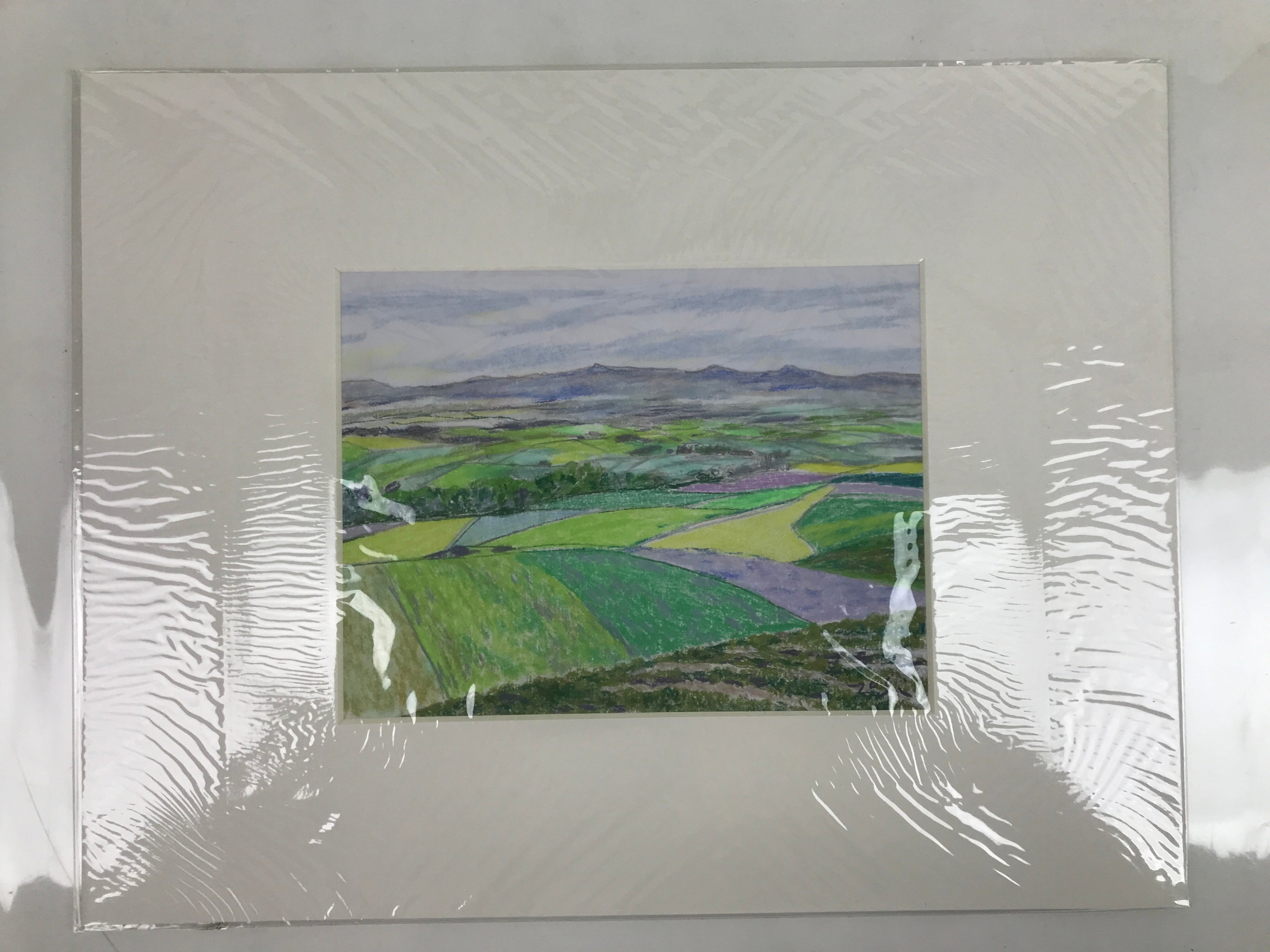 Japanese Rice Field Landscape Pastel Drawing Art Signed Yoshihiro Hagino FL346