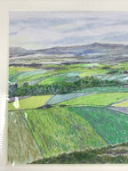 Japanese Rice Field Landscape Pastel Drawing Art Signed Yoshihiro Hagino FL346