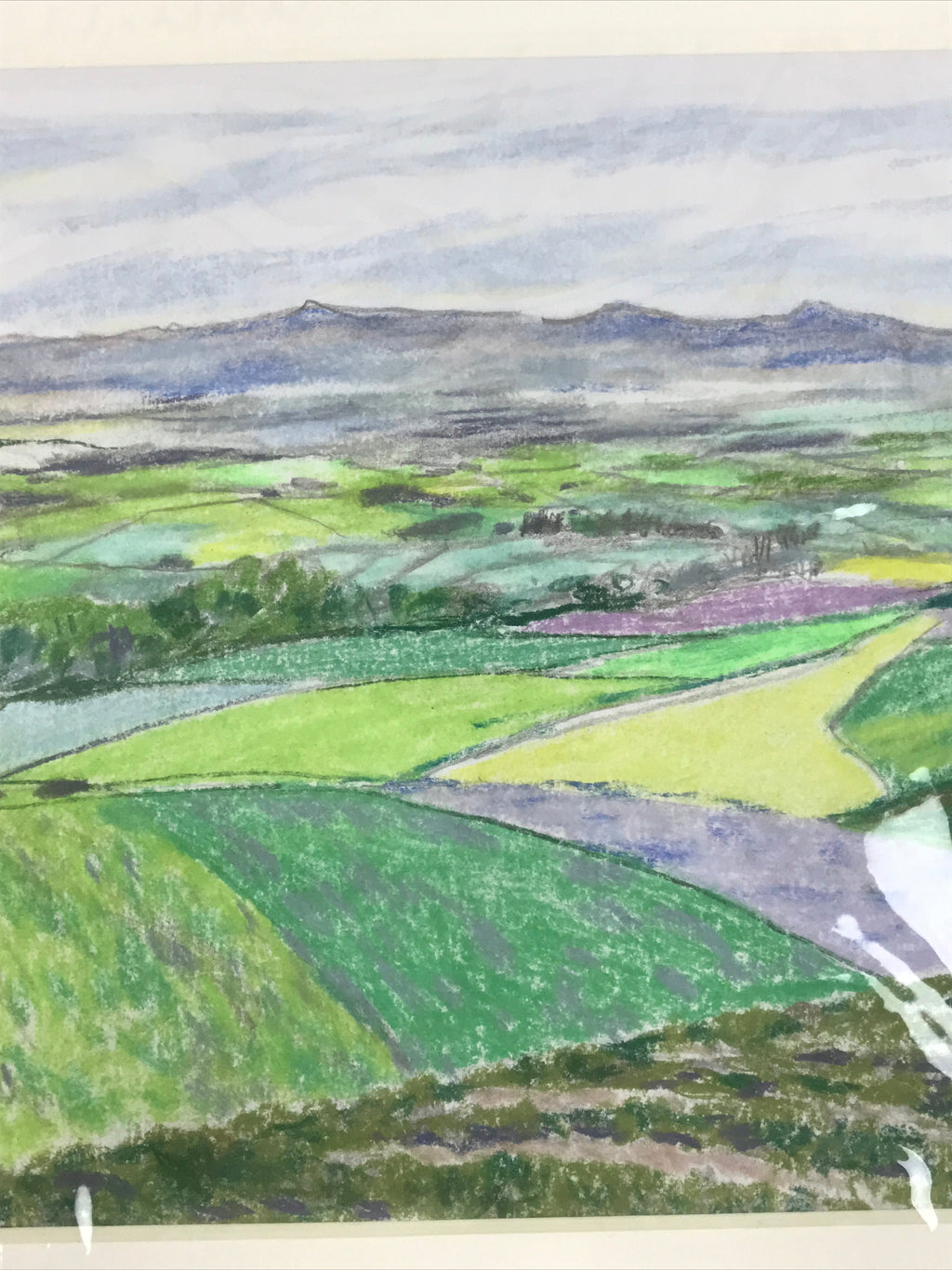 Japanese Rice Field Landscape Pastel Drawing Art Signed Yoshihiro Hagino FL346