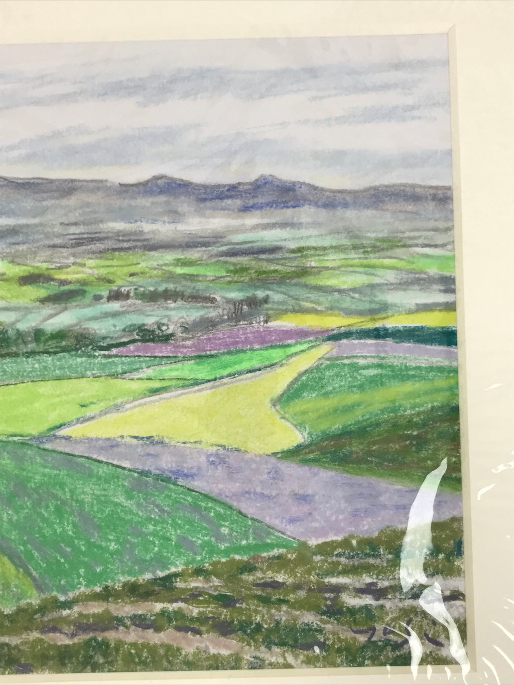 Japanese Rice Field Landscape Pastel Drawing Art Signed Yoshihiro Hagino FL346