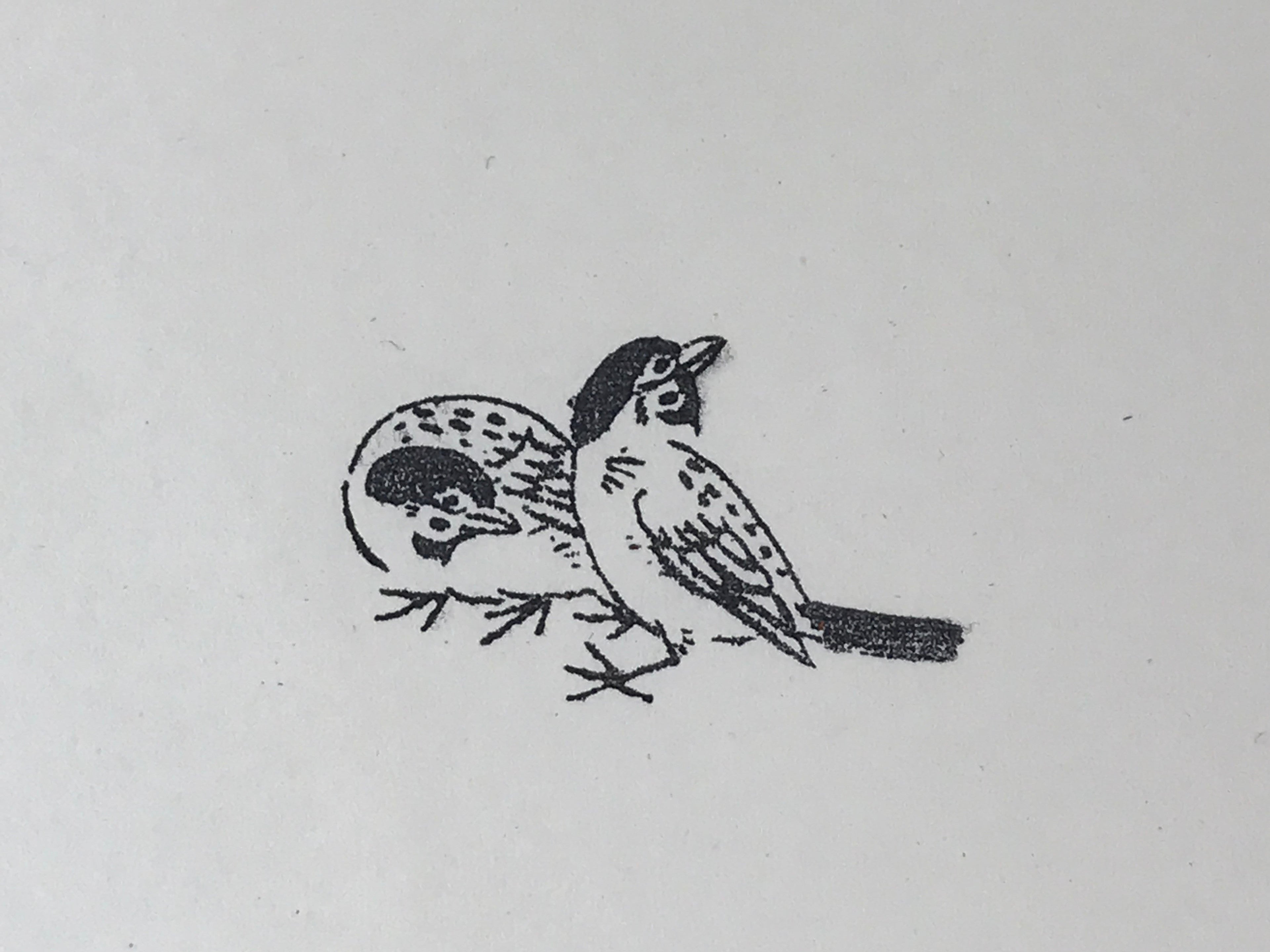 Japanese Rubber Stamp 2 Birds Vtg Animal Sponge Base Stationary HS200