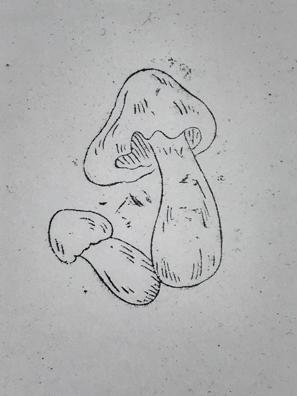 Japanese Rubber Stamp 2 Mushrooms Vtg Nature Sponge Base Stationary HS259
