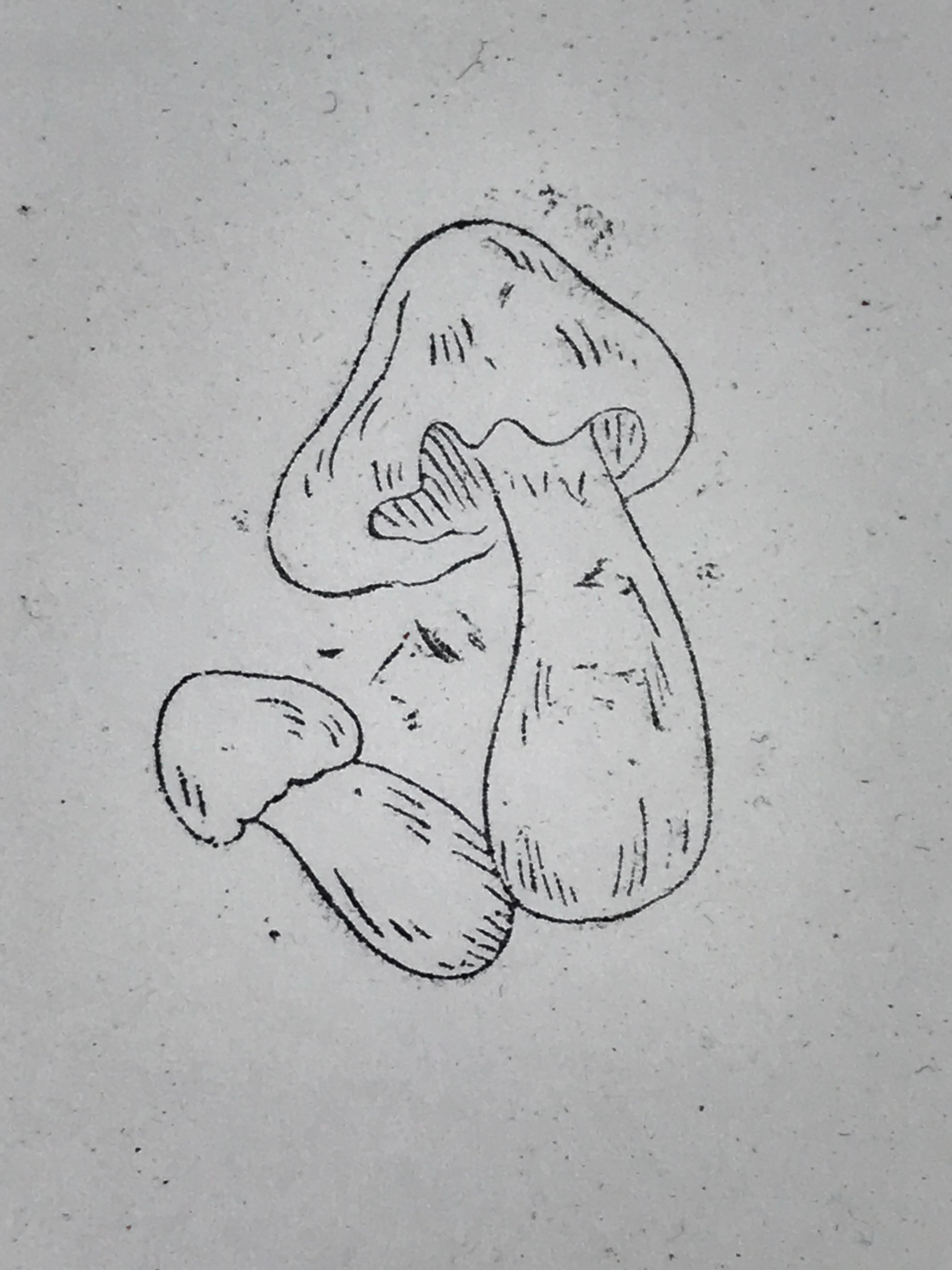 Japanese Rubber Stamp 2 Mushrooms Vtg Nature Sponge Base Stationary HS259