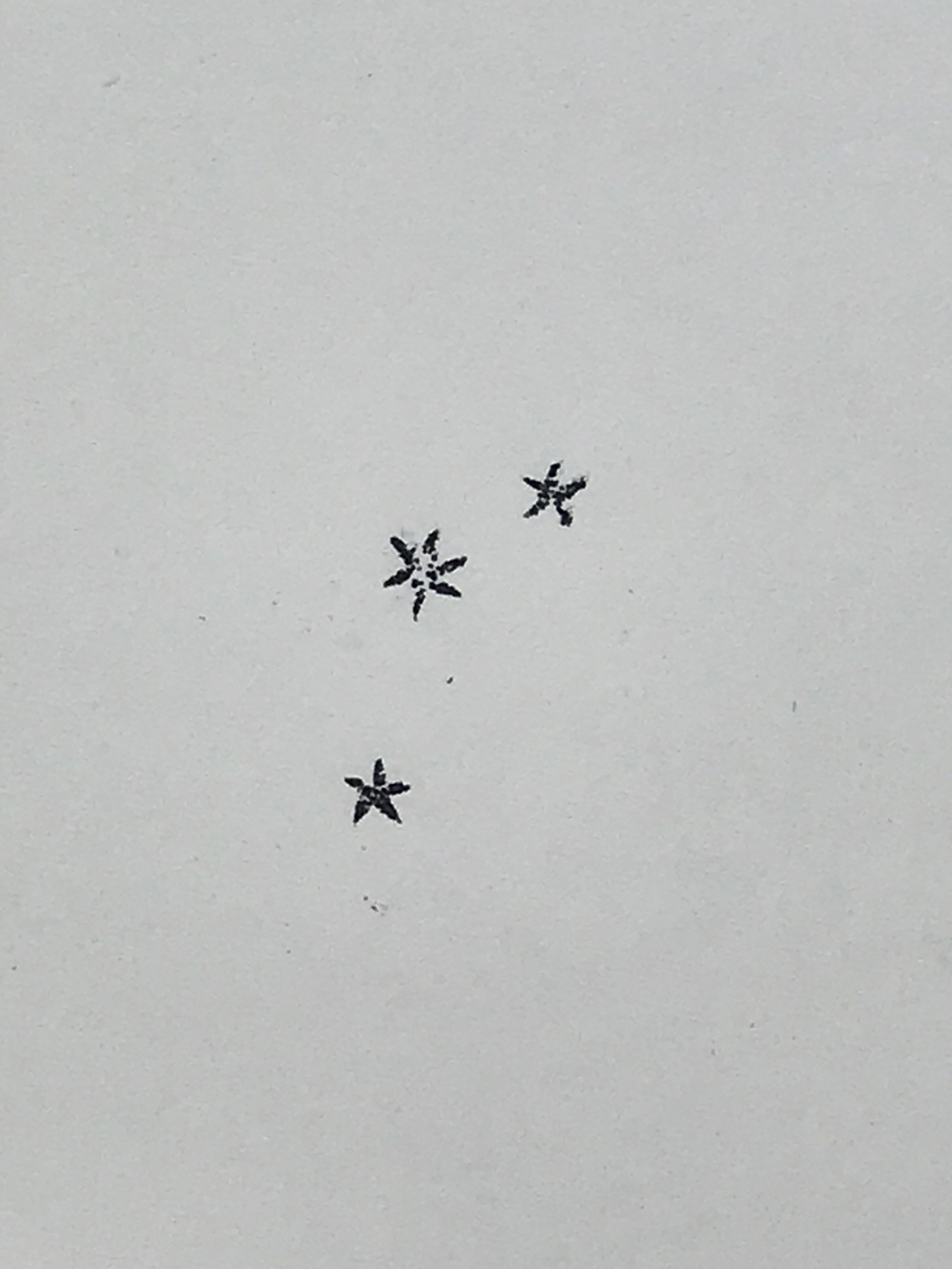 Japanese Rubber Stamp 3 Little Stars Vtg Nature Sponge Base Stationary HS205