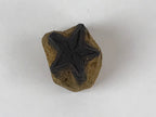 Japanese Rubber Stamp 5 Pointed Star Vtg Military Sponge Base Stationary HS225