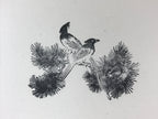 Japanese Rubber Stamp Birds Pine Tree Vtg Nature Sponge Base Stationary HS285
