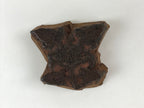 Japanese Rubber Stamp Flower And Foliage Vtg Nature Sponge Base Stationary HS252