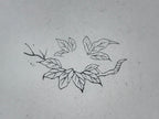 Japanese Rubber Stamp Foliage Branch Vtg Nature Sponge Base Stationary HS257