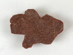 Japanese Rubber Stamp Goldfish Long Tail Vtg Animal Sponge Base Stationary HS264