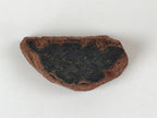 Japanese Rubber Stamp Long Leaf Vtg Sponge Base Stationary HS192