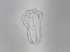 Japanese Rubber Stamp Napa Cabbage Vtg Hakusai Sponge Base Stationary HS258