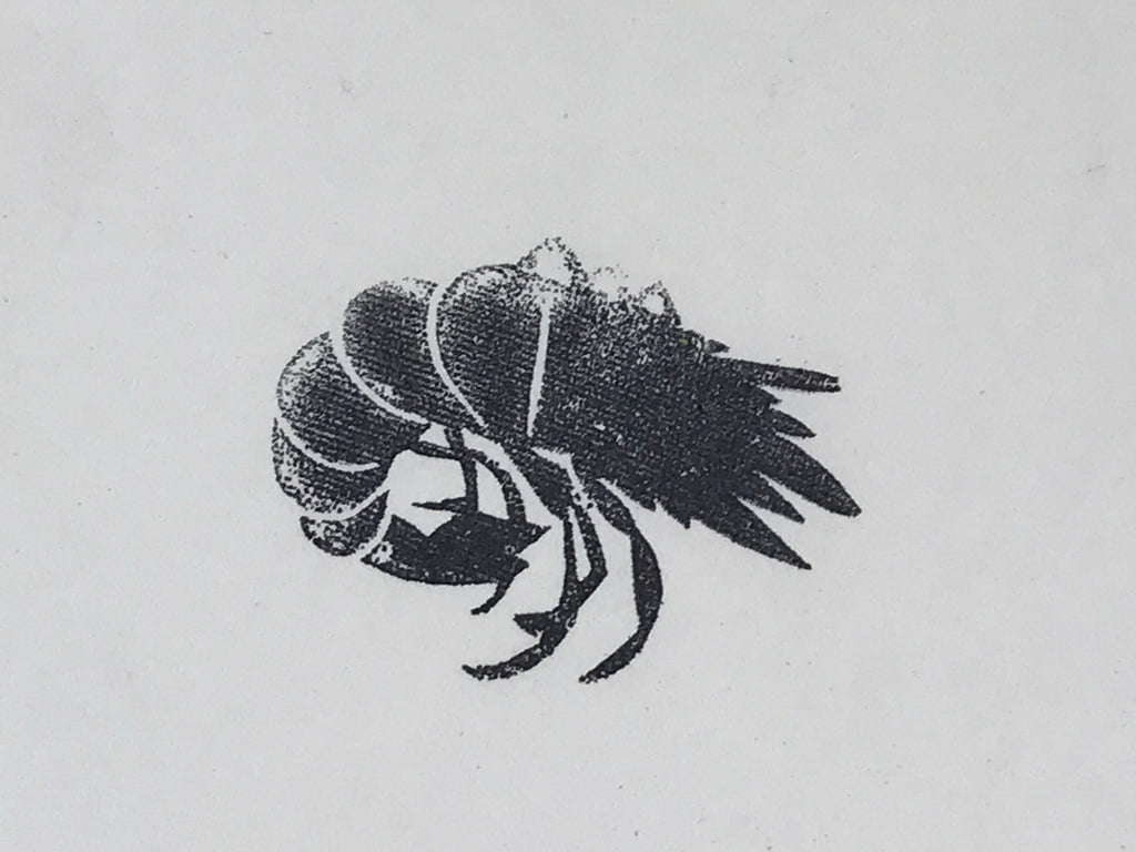 Japanese Rubber Stamp Prawn Shrimp Vtg Ebi Sponge Base Stationary HS235