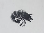 Japanese Rubber Stamp Prawn Shrimp Vtg Ebi Sponge Base Stationary HS235