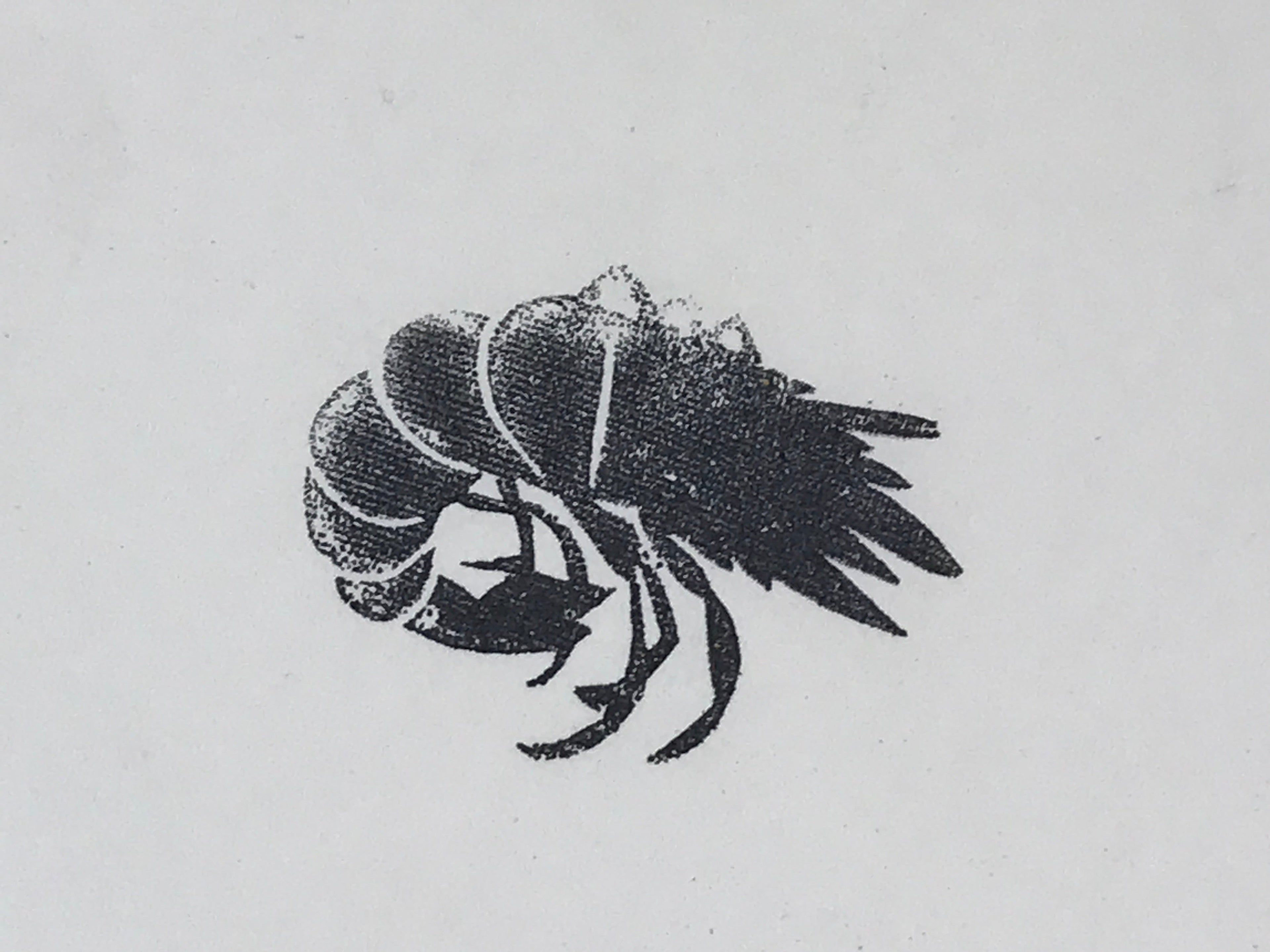 Japanese Rubber Stamp Prawn Shrimp Vtg Ebi Sponge Base Stationary HS235