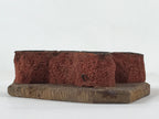 Japanese Rubber Stamp Tree Branch Foliage Vtg Sponge Base Stationary HS283