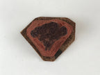 Japanese Rubber Stamp Tree Round Fruits Vtg Sponge Base Stationary HS191