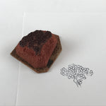 Japanese Rubber Stamp Tree Round Fruits Vtg Sponge Base Stationary HS191