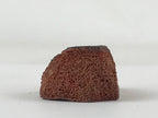 Japanese Rubber Stamp Tropical Fish Vtg Animal Sponge Base Stationary HS199