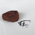 Japanese Rubber Stamp Tropical Fish Vtg Animal Sponge Base Stationary HS199