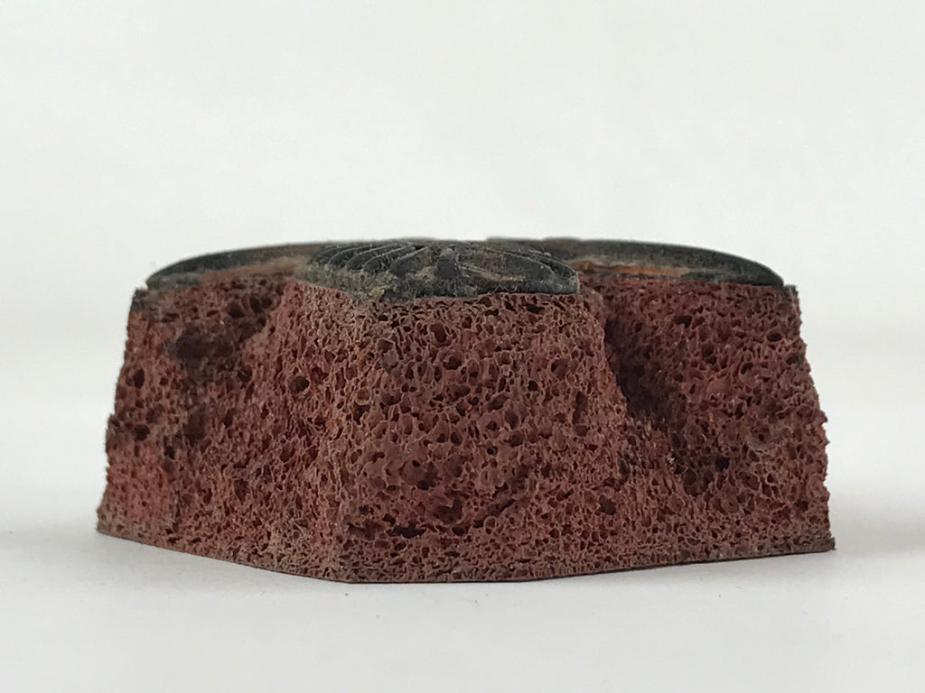 Japanese Rubber Stamp Wheat Ear Spikelets Vtg Sponge Base Stationary HS251