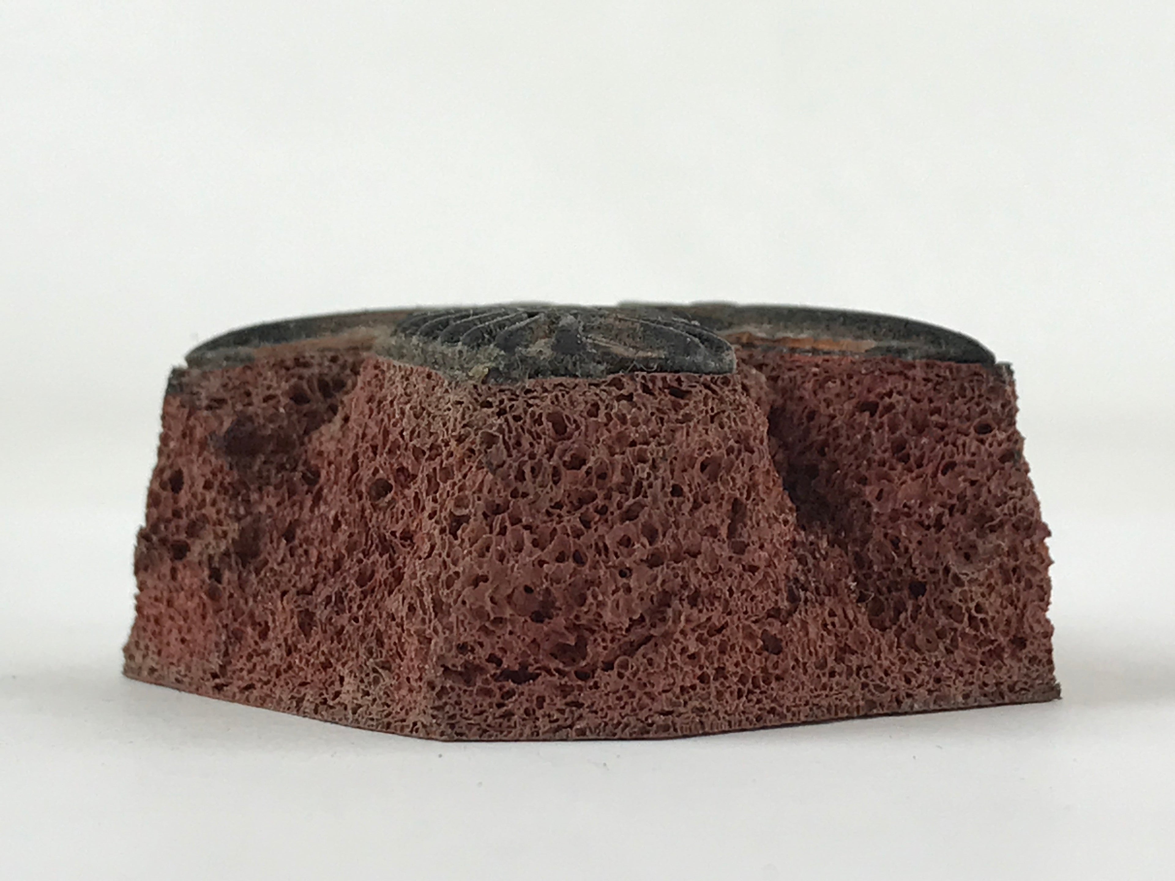 Japanese Rubber Stamp Wheat Ear Spikelets Vtg Sponge Base Stationary HS251