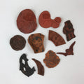 Japanese Rubber Stamps Without Base 10 Pcs Vtg Animal Kanji Stationary HS229