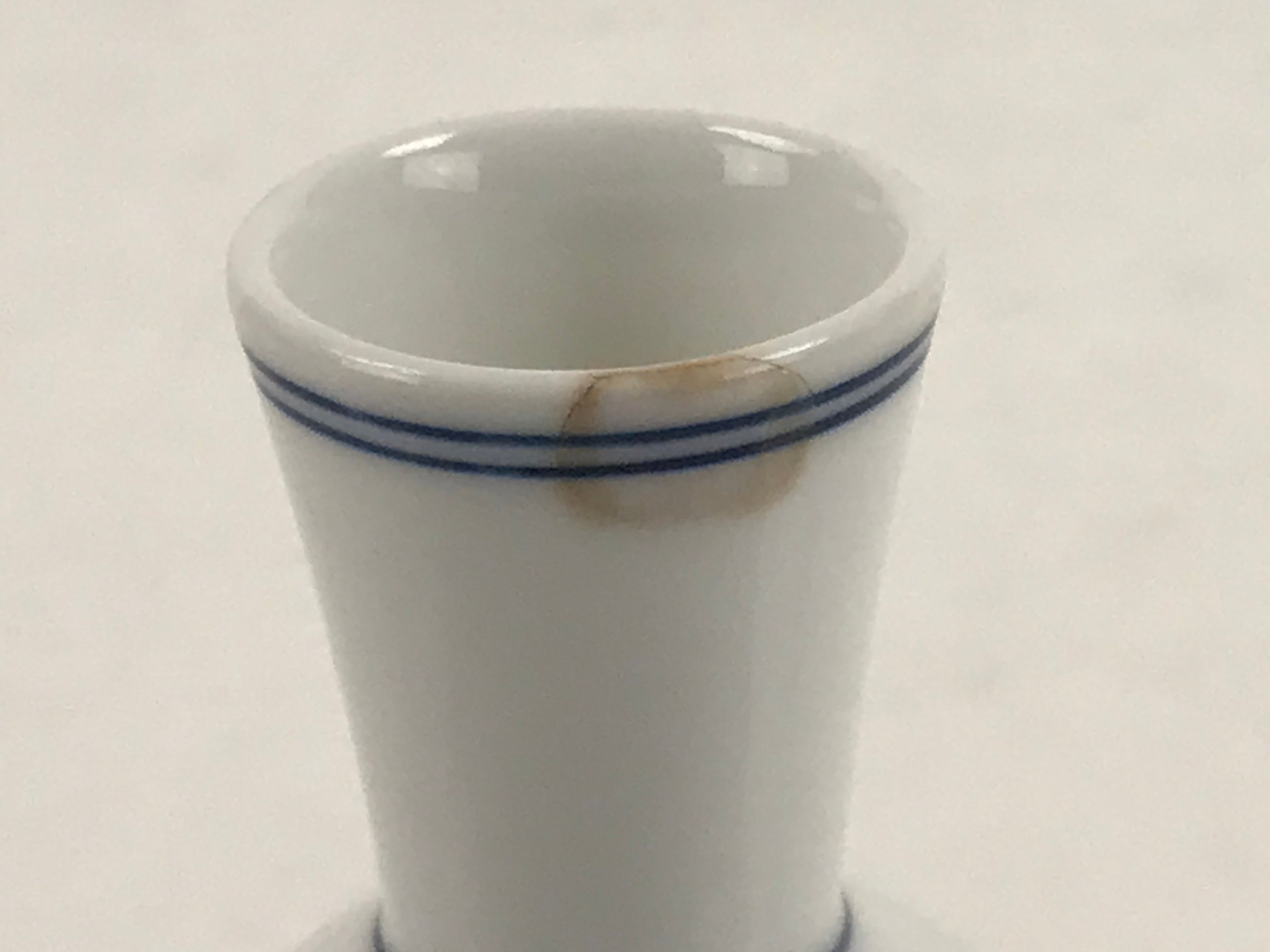 Japanese Sake Bottle Porcelain Tokkuri Vtg Atomic Plum Blossoms White Blue TS683