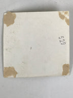 Japanese Scenic Mountain View Photograph Vtg Toro Lantern Path Sepia Tone PH279