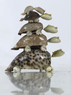 Japanese Sea Shell Kokeshi Doll Vtg 5 Turtle Stack Wobbly Head Brown Beige KF749