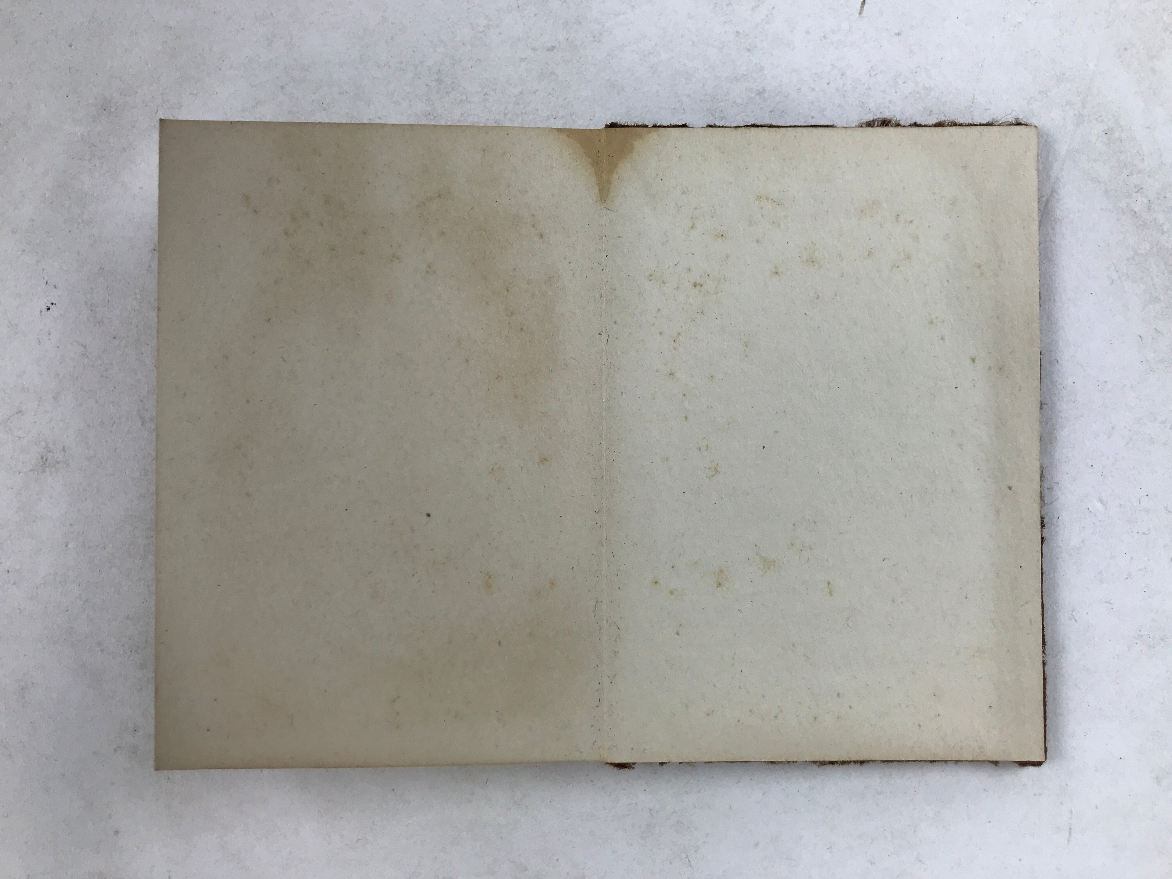 Japanese Seal Stamp Shuin Book C1930 Hotel Ski Resort Brown Fabric Cover BA267