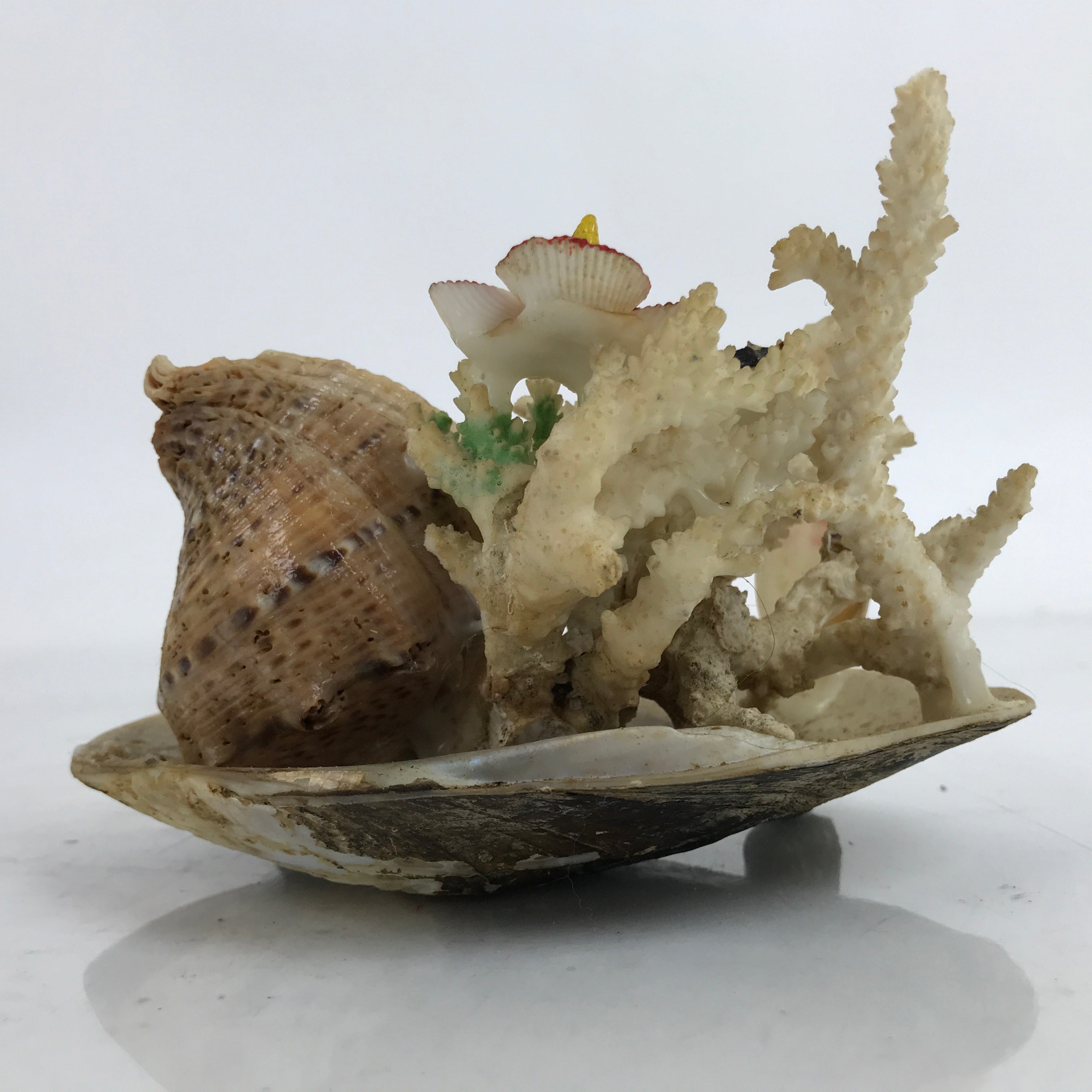 Japanese Seashell Bird Nest Flowers Decoration Vtg Figurine Onsen Souvenir ST4