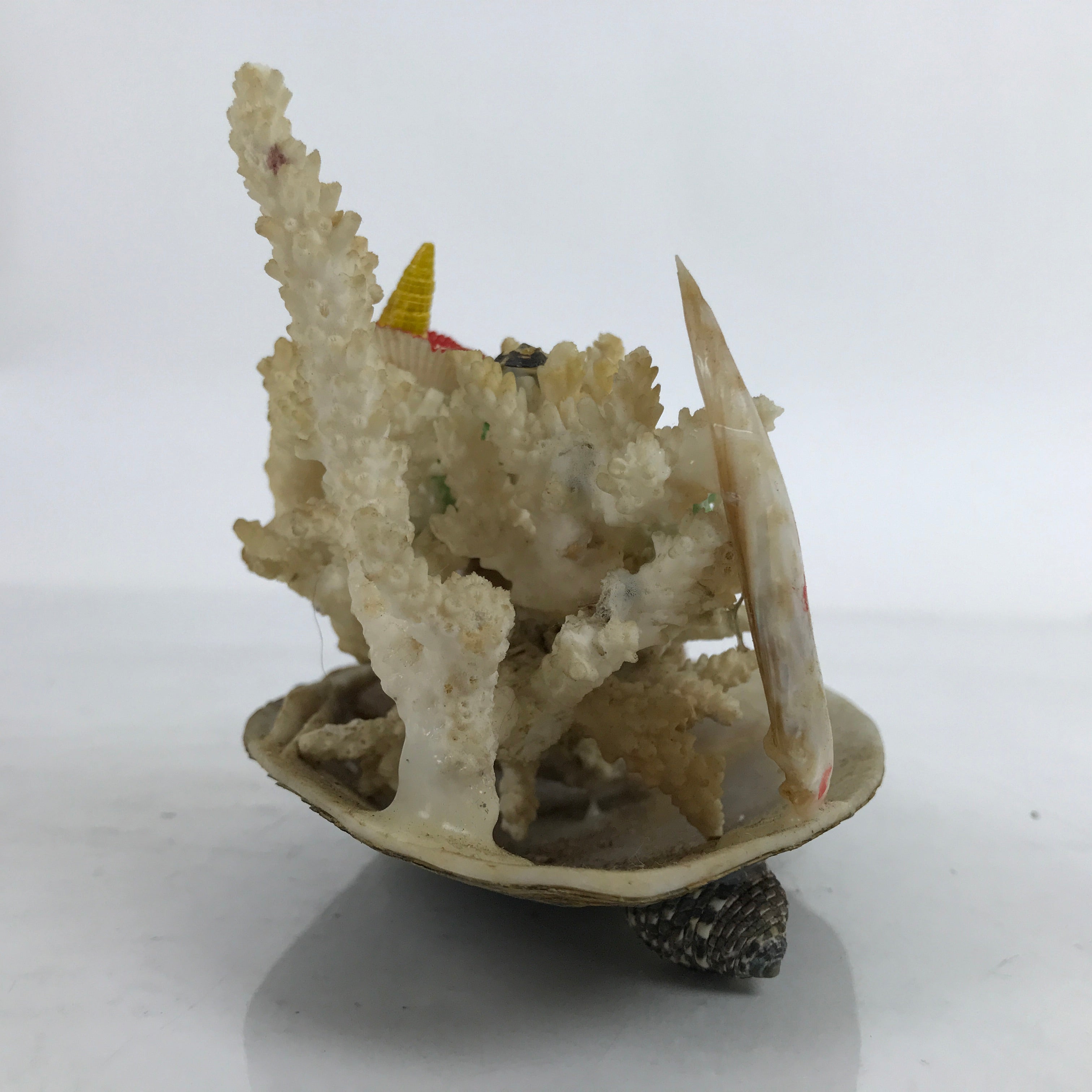 Japanese Seashell Bird Nest Flowers Decoration Vtg Figurine Onsen Souvenir ST4