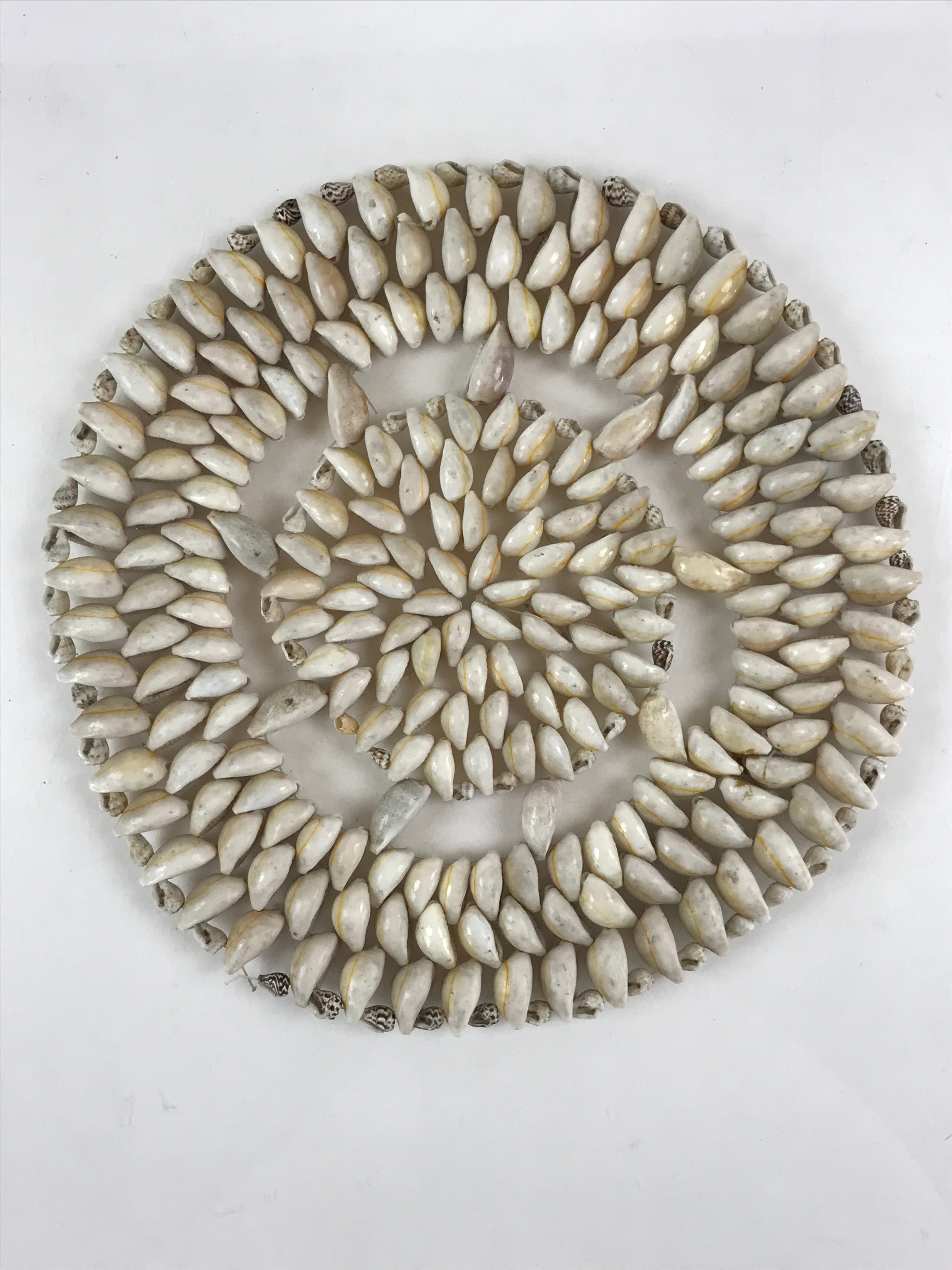 Japanese Seashell Trivet Nabeshiki Underlay Flowerpot Seashell Art