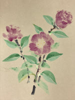 Japanese Shikishi Art Board Camellia Flower Vtg Tsubaki Painting Purple A540