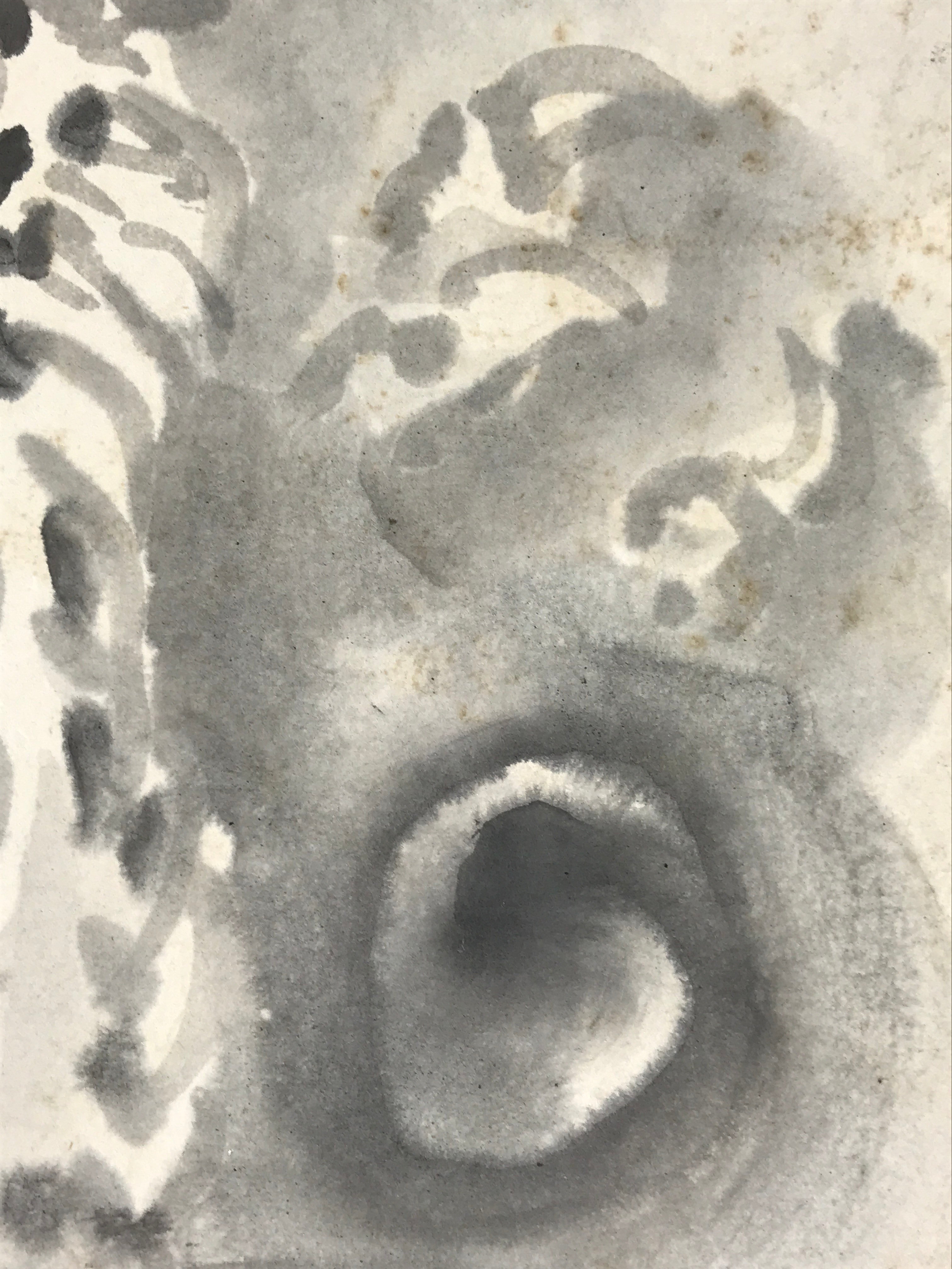Japanese Shikishi Art Board Dragon Painting Gray Monochrome Painting Signed A547