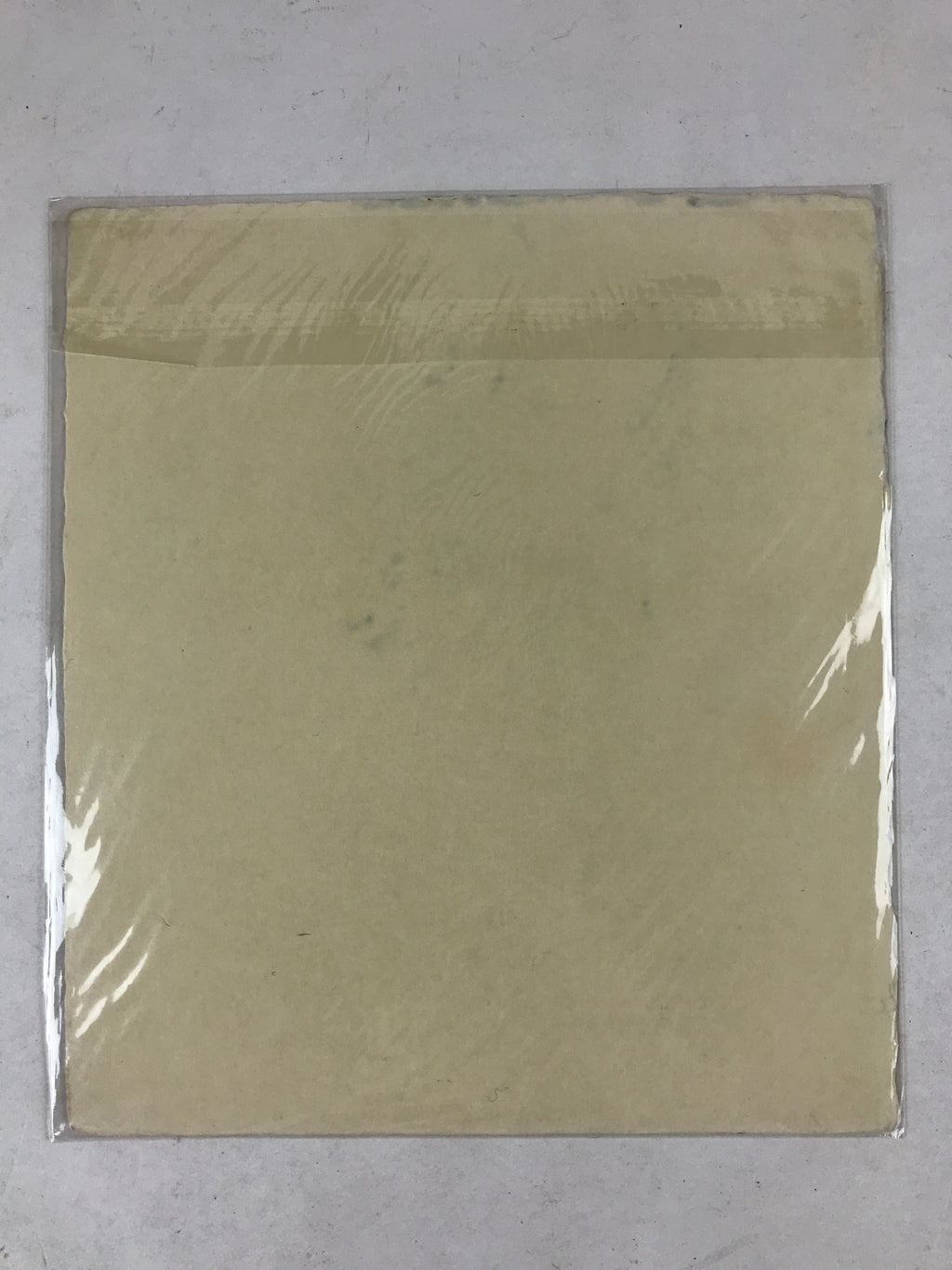 Japanese Shikishi Art Board Grapevine Vtg Black Ink Washi Paper Monochrome A544