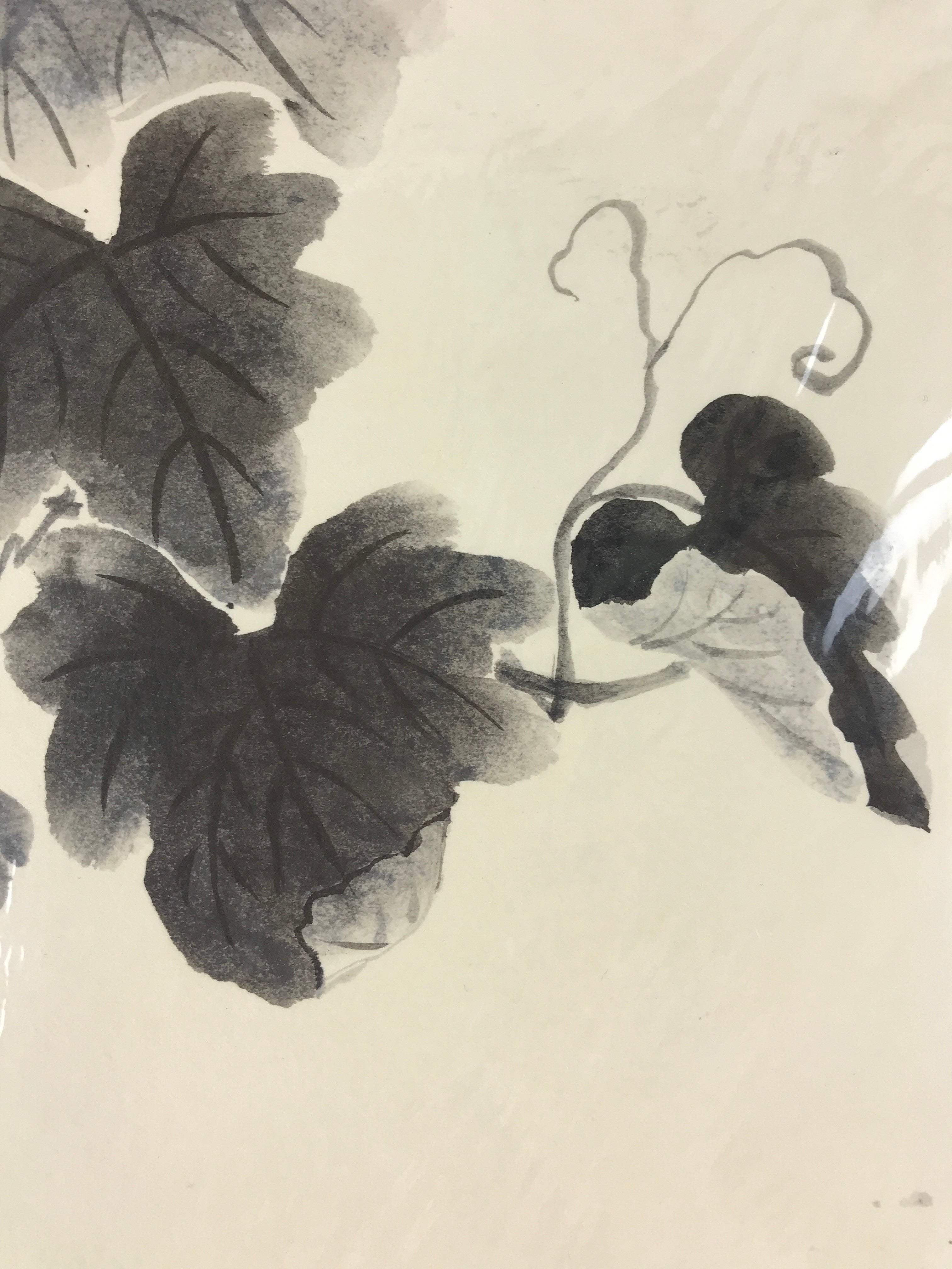 Japanese Shikishi Art Board Grapevine Vtg Black Ink Washi Paper Monochrome A544