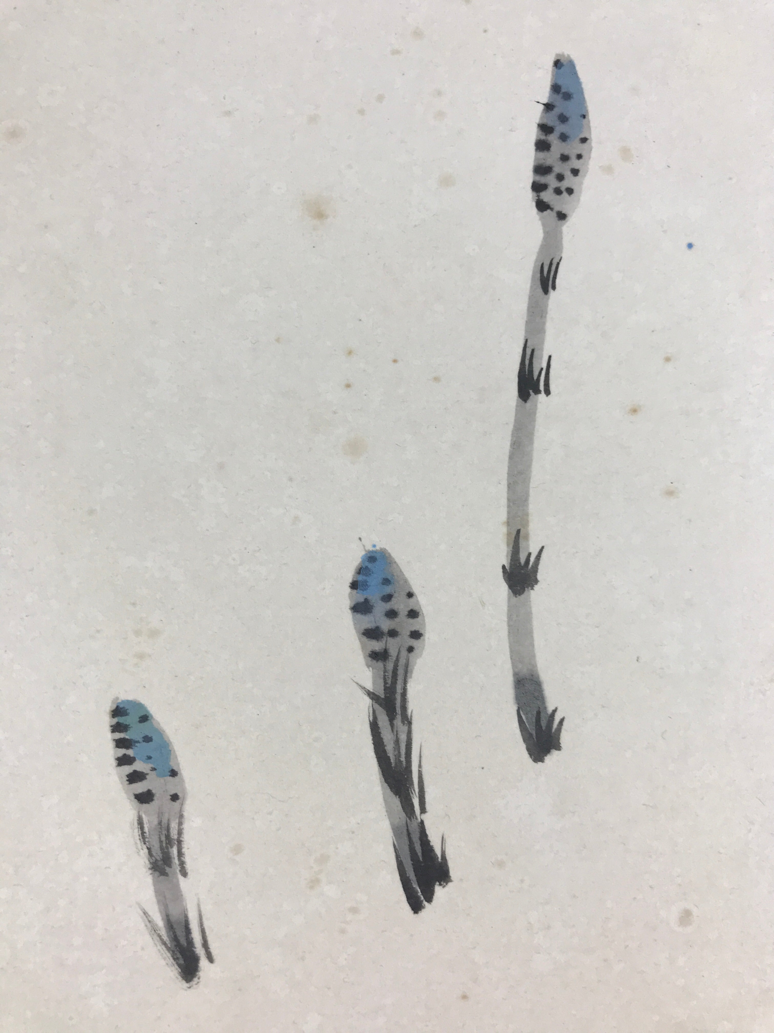 Japanese Shikishi Art Board Horsetail Snake Vtg Painting Nihonga Blue A537